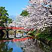 Aomori Japan Hirosaki Castle with Full Bloom of Cherry Blossoms