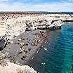 Check out the bustling sea lion colony.