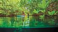 Paddle Boarding Through the Mangroves to the Cenote, Cozumel, Mexico 