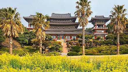 Famous buddhist temple with palm trees and green grass at Jeju Island, South Korea