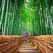 Bamboo forest path with woman in Japenese clothing walking down in Kyoto, Japan