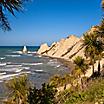 Cape Kidnappers with cabbage trees (Cordyline australis) in front, Napier, New Zealand