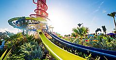 Daredevil's Peak, Perfect Day at Coco Cay  