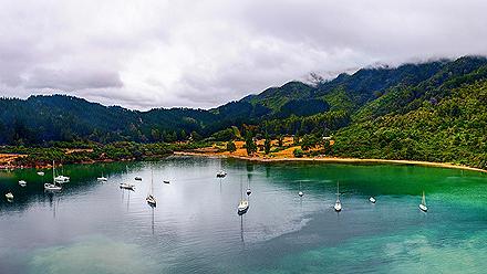 Boats in Whatamago Bay, in the vicinity of Picton, New Zealand