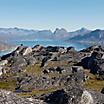 The rocky tundra in Qaqortoq, Greenland