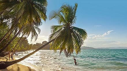 Young Boy Swinging Over Water from Palm Tree on Beach, Roatan, Honduras