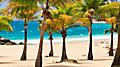 Southern Caribbean Beach with Palm Trees