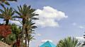 Tropical gardens with palm trees and the Aquarium Pyramid. Galveston, Texas.