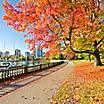 Stanley Park Urban Greenspace, Vancouver, British Columbia